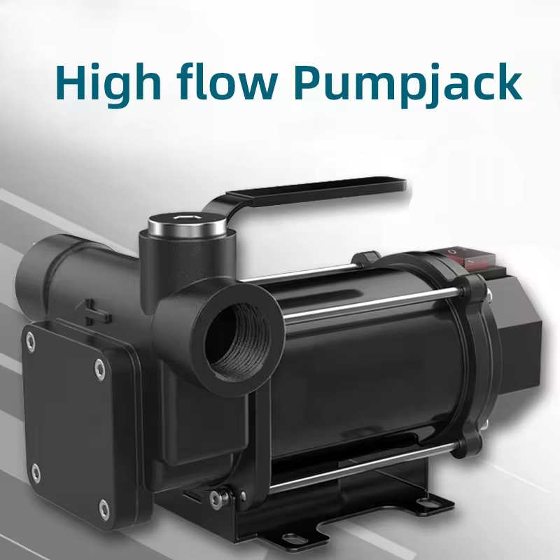 High Flow Compact Electric Oil Diesel Pumps 220V 60L/Min