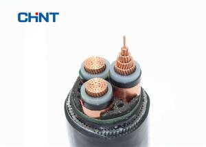 Quality LSZH Sheath 8.7 / 15kV Power Cable Copper Conductor Double Steel Wire Armored wholesale