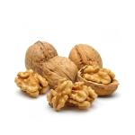 Chinese Wholesale XinJiang 33 xiner Walnuts with shell 32mm with extra light