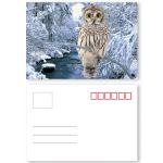 Custom Restaurant Animation 0.35mm 3D Lenticular Card