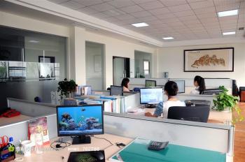 XIAN NING HUAXIN GP HEALTHCARE SAFETY PROTECTIVE PRODUCTS CO.,LTD