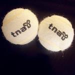 Pet toys for dogs