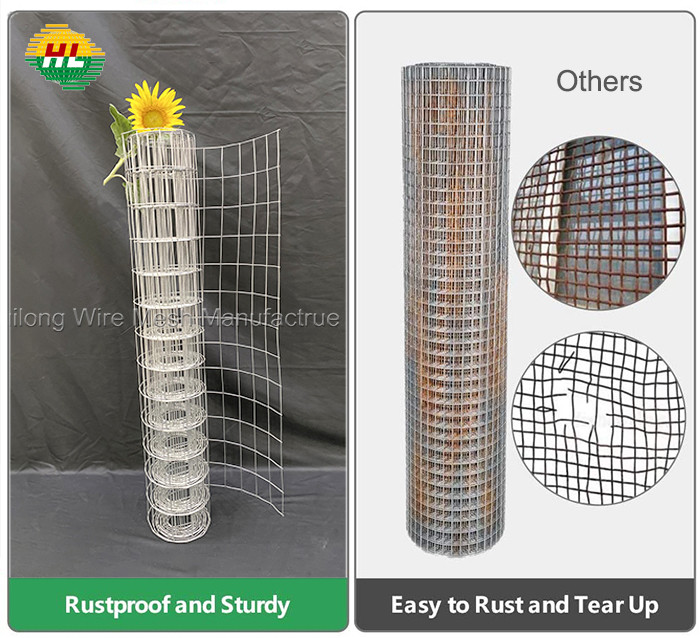 Green PVC Coated 1/2in x 48in x 100ft PVC Coating Wire Fence, For Fencing Around Chicken Coop, Run, and Gardens