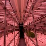 Ventilation fan 40ft Container Greenhouse for Advanced Plant Growth