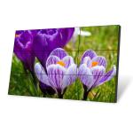 Samsung 55 inch 3x3 2x2 Narrow Bezel Advertising LCD Video Wall HD Screen