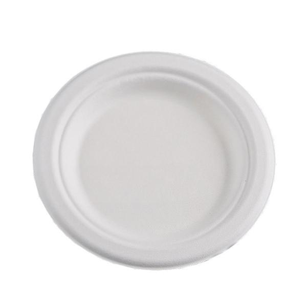 Customized Disposable Paper Plate Round Sugarcane Pulp Paper Plate for Birthday