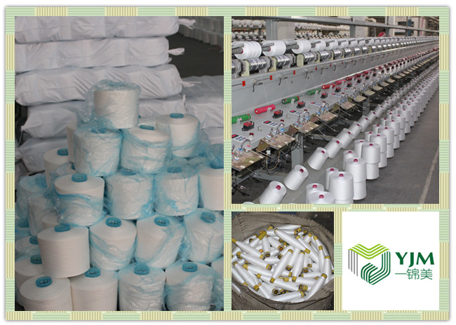 Low Shrinkage Bright 100% Ring Spun Polyester Yarn For Clothes Sewing