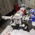 Durable Antiwear Primary Sludge Lobe Pump , Pressure Resistant PD Pump Types