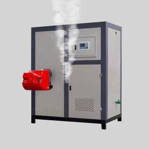 China Gas Light Kerosene Heating Steam Boiler 100-500kg Biomass Particles Steam Generator Vegetable Dehydration Drying on sale