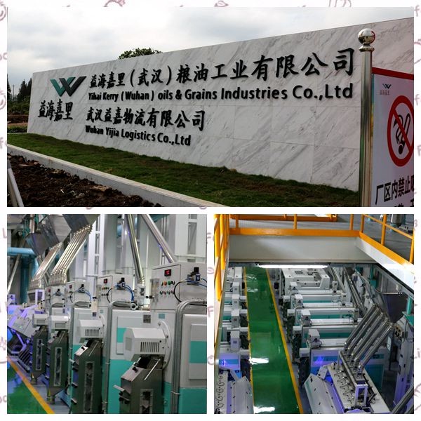 2.8T Paddy length grading Rice Grader