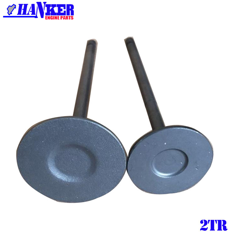 1TR 2TR Intake Valve Exhaust Valve Engine Valve 13715-75100 13711-75100