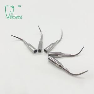 Quality P1 Woodpecker Ultrasonic Tips Dental Hygiene Stainless Steel wholesale