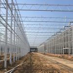 Large Agricultural Glass Greenhouse with Advanced Hydroponics System and Glass
