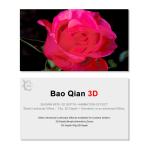 Personal Custom Design 3D Lenticular Card / Luggage Tag Plastic