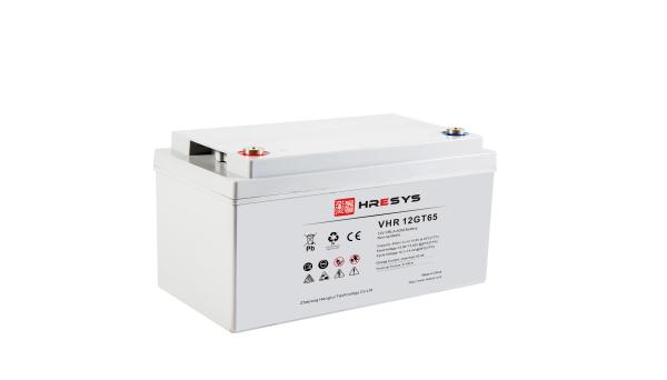 12 V 65 AH Top Terminal VRLA AGM Battery for General Purpose ， L330mm x W171mm x