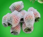 Yellow EPE Fruit Net Cover 14cm 18cm 19cm Length
