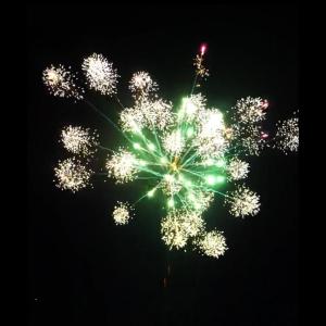Quality Celebration Consumer Cake Fireworks Outdoor Big Fireworks Pyrotechnics wholesale