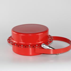 Quality Throwable Portable Aerosol Fire Extinguisher / Like Portable Aerosol System wholesale