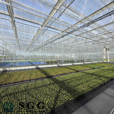 glass conservatory (4mm,5mm,6mm,8mm,10mm,12mm,15mm,19mm)