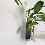 Acid Etched Float Tempered Glass Panels 3mm 10mm 12mm Obscure Toughened