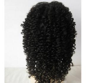 Quality Popular 20 Inch Kinky Curly Full Lace Human Hair Wigs Bouncy And Soft wholesale