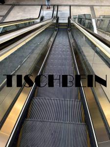 Quality VVVF Commercial Shopping Mall Escalators 0.5m/s Indoor Outdoor With 1000mm Step Width And Emergency Stop wholesale