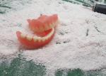 Smooth Surface Rubber OEM Denture Dental Lab Digital Dental Models