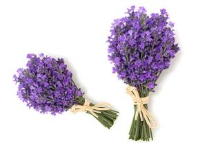 Quality 50cm 60cm Preserved Fresh Flower Dry Lavender Bunches OEM wholesale