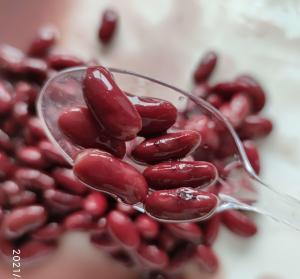 Quality Healthiest Salty Flavor Water Preservation Canned Red Kidney Beans wholesale