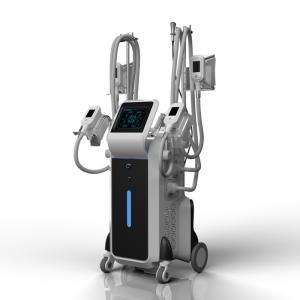Quality CE FDA approved forimi cryo weight loss fat freezing cool cryolipolysis machine on sale wholesale