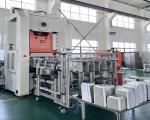 Four Cavity Disposible Tableware Production 12000 Pcs Per Hour Capacity