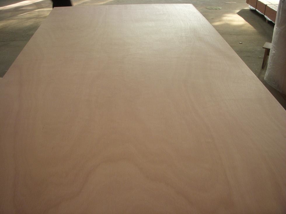 Eucalyptus 12mm Waterproof Film Faced Plywood For Construction