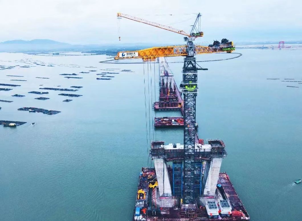 Zhonglian 6515-8 Chip Tower Crane in 21 Years