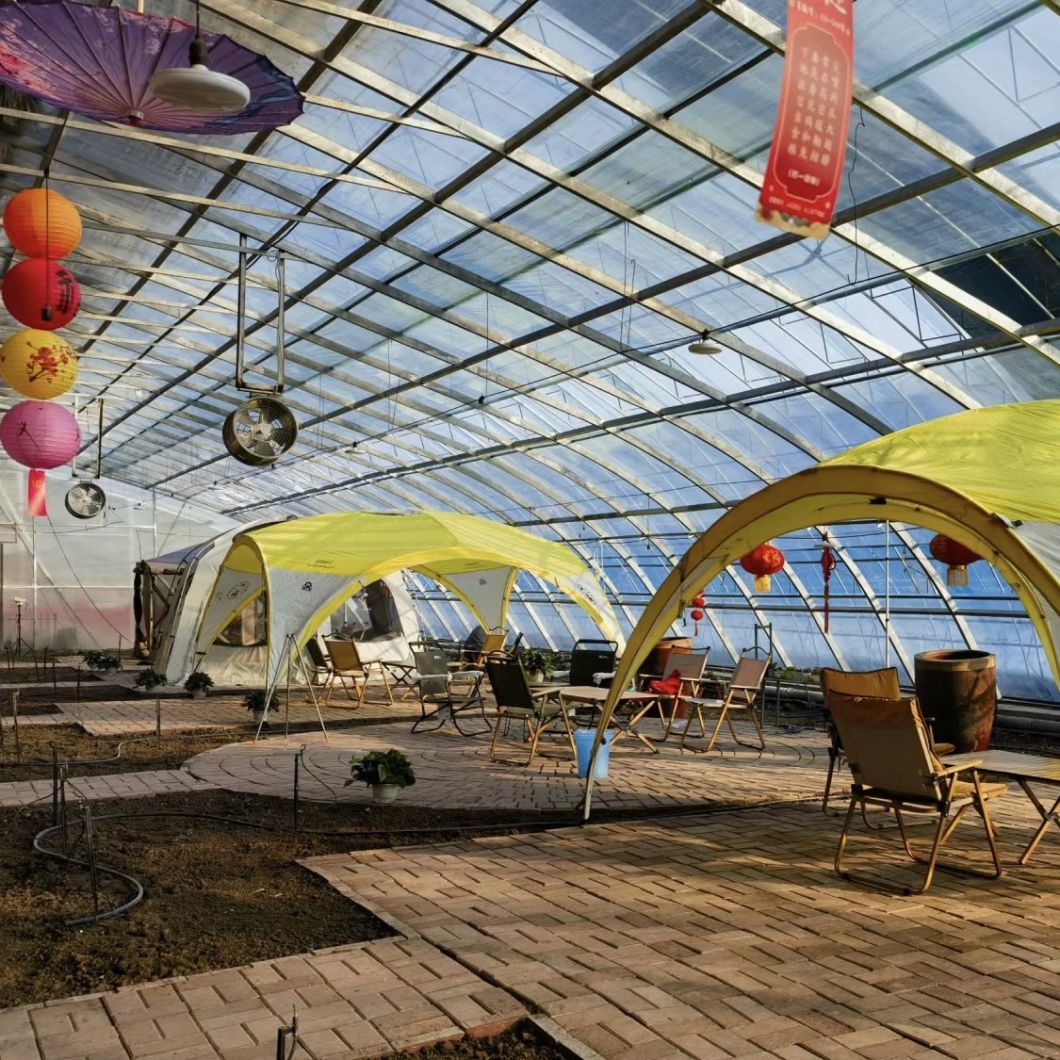 Vegetable Film Strawberry Flower Sunlight Greenhouse System