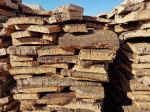 Thickness 5-25mm Natural Cork Bark Imported Portugal Cork Oak Bark Raw Material