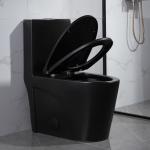 Matte Black One Piece Dual Flush Comfort Height Toilet Top Flush Button
