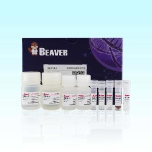 Quality 100 Rxns BeaverBeads Plant DNA Kit For Gene Breeding wholesale