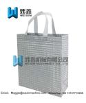 100gsm Eco glitter film lamination Non Woven Bag /Promotional Custom Laminated