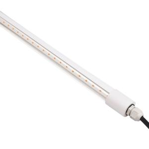 Quality Led Dimmable Bulb Waterproof IP65 Led Poultry Lights For Chicken House Farm wholesale