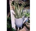 Non Flammable Outdoor Round 26cmx27cm Fiber Clay Pots
