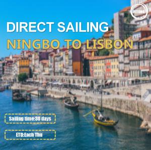 Quality Ningbo To Lisbon Portugal Marine Cargo Transport Service MSK MSC Carrier wholesale
