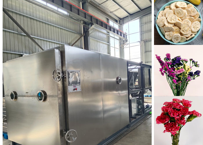 Large Food Vacuum Freeze Drying Machine -40C Freezing Temperature
