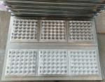 Paper Pulp Molding Machine With Germany Valves