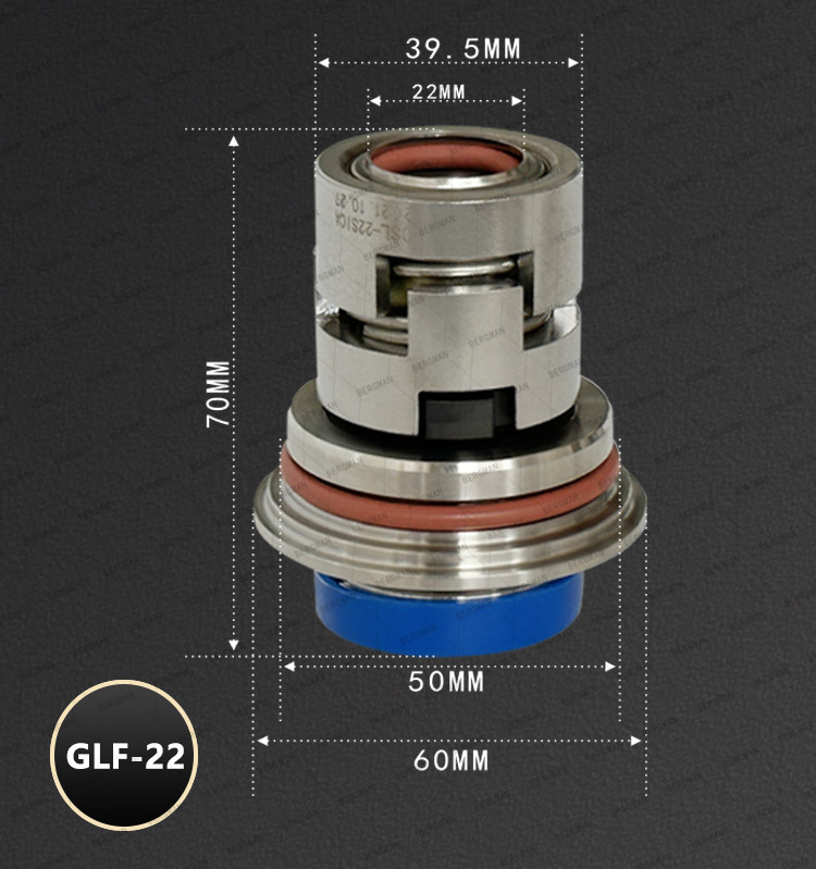 BERGMAN Replace Grundfos GLF-22mm Hexagon CR CRN CRI Pump Mechanical Seal HQQV HQQE 96525490 96525458
