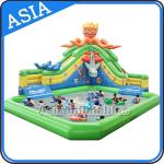 Outdoor Inflatable Water Park Slide With Swimming Pool , Inflatable Aviva Water
