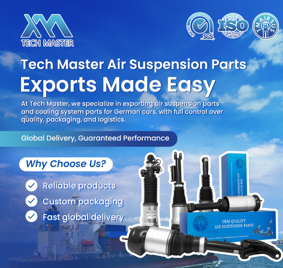 Rear Air Suspension Springs 48090-60010 48080-60010 for Toyota Land Cruiser Prado J150 Lexus GX460
