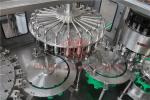 Combi Rotary Non Carbonated Water Bottle Filling Machine , Plastic Bottling