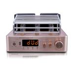Integrated Stereo Hybrid Vacuum Tube Audio Amplifier With Subwoofer Output MIC