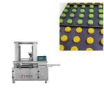 2kw Food Molding Machine 150Pcs/M Yucheng Food Process Equipment