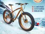 Gold 30 Speed 26x4.0 Inch Fat Wheel Mountain Bike